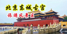 操死她视频网站中国北京-东城古宫旅游风景区